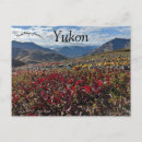 Pesquisar por yukon canadá cartoes postais Paisagem