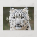 Pesquisar por do casamento do gato cartoes Qualquer pessoa