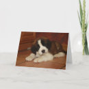 Pesquisar por st bernard cartoes Puppy