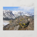 Pesquisar por paisagem amarela cartoes postais Neve