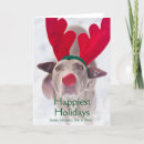 Pesquisar por headband Antler
