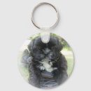 Pesquisar por shih tzu chaveiros Cães