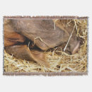 Pesquisar por de porco mantas Para todos