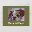 Pesquisar por buldogue inglês cartoes Cão