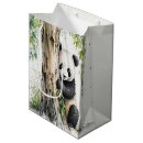 Pesquisar por bambu Urso