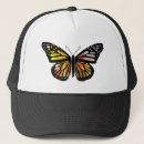 Pesquisar por aquarela bones Borboleta