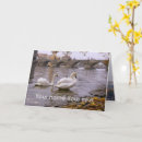 Pesquisar por cisne branco cartoes Rio