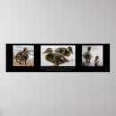 Pesquisar por coleção pósteres Fotografia
