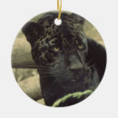 Pesquisar por jaguar ornamentos Gato grande