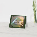 Pesquisar por gato engraçado do gatinho cartoes Qualquer pessoa