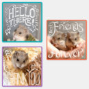 Pesquisar por hello adesivos Obrigado