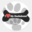 Pesquisar por dachshund adesivos Cachorros