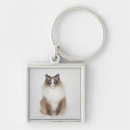 Pesquisar por peludo chaveiros Gato