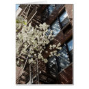 Pesquisar por greenwich cartoes postais Vila