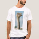 Pesquisar por avestruz camisetas Pássaro