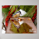 Pesquisar por peitos pôsteres pósteres Nuthatch