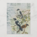 Pesquisar por vintage bird cartoes postais Flores