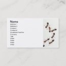 Pesquisar por formiga cartao de visita Praga