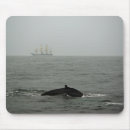 Pesquisar por humpbacks Oceano
