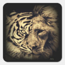 Pesquisar por tiger adesivos Safari