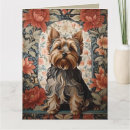 Pesquisar por proprietários cartoes Para ela