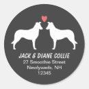 Pesquisar por collie adesivos Animais