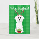 Pesquisar por frise do bichon cartoes Bichons
