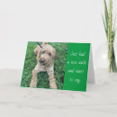 Pesquisar por aniversário do pastor cartoes Para ela