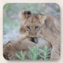 Pesquisar por orelha porta copos Animais selvagens