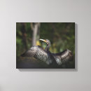Pesquisar por corvos impressão de canvas Animal