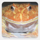 Pesquisar por sapo coroa adesivos Anfíbio