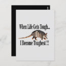 Pesquisar por armadillo cartoes postais Animal