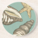 Pesquisar por concha porta copos Costeiro