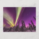 Pesquisar por aurora borealis cartoes postais Floresta