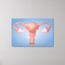 Pesquisar por raio x impressão de canvas Órgão