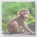 Pesquisar por macaco bonito copos bares Fofofo