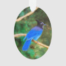 Pesquisar por jay ornamentos Jato azul
