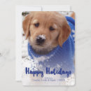Pesquisar por golden retriever puppy cartoes Merry christmas