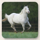Pesquisar por cavalo appaloosa porta copos Prumo langrish