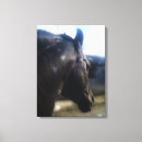 Pesquisar por luz azul impressão de canvas Animais
