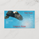 Pesquisar por estados unidos cartao de visita O governo