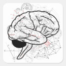 Pesquisar por anatomia humana adesivos Cérebro