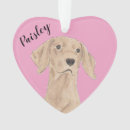 Pesquisar por vizsla ornamentos Natal