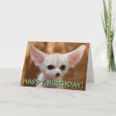 Pesquisar por fox me cartoes Cute