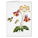 Pesquisar por colibri Vintage