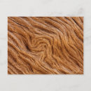 Pesquisar por ilha madeira cartoes postais Praia