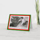 Pesquisar por assassinato cartoes Humor