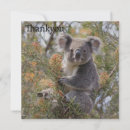 Pesquisar por marsupiais cartoes Marsupial