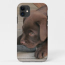 Pesquisar por retriever iphone capas Filhote de cachorro