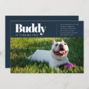 Pesquisar por cães convites Cachorro